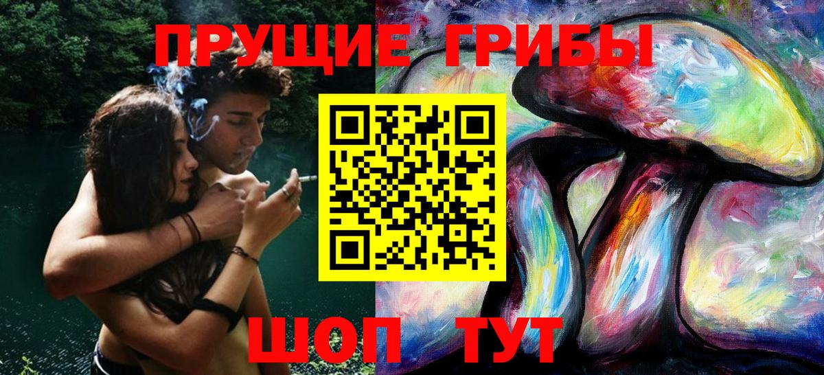 Псилоцибиновые грибы Psilocybe Тосно