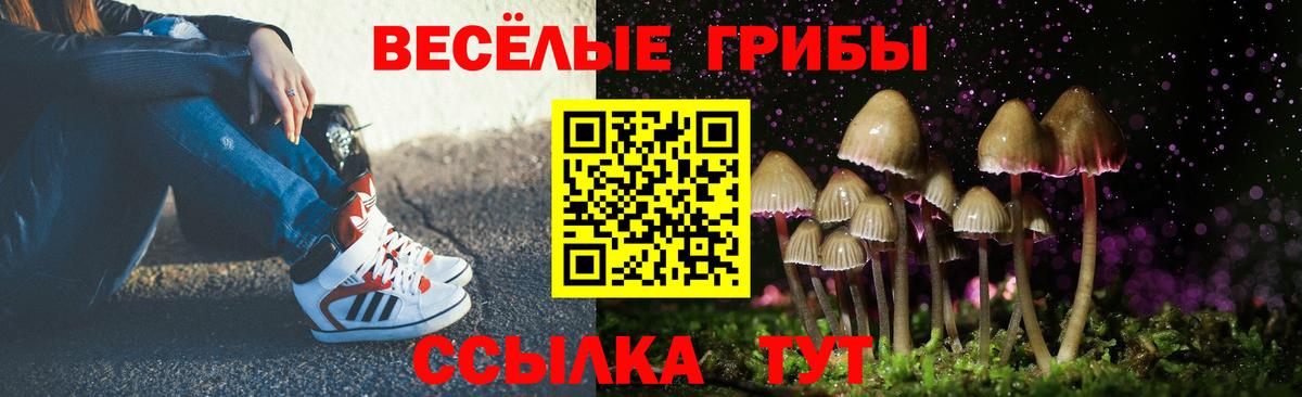 Псилоцибиновые грибы Cubensis  Вход с VPN  Тосно 